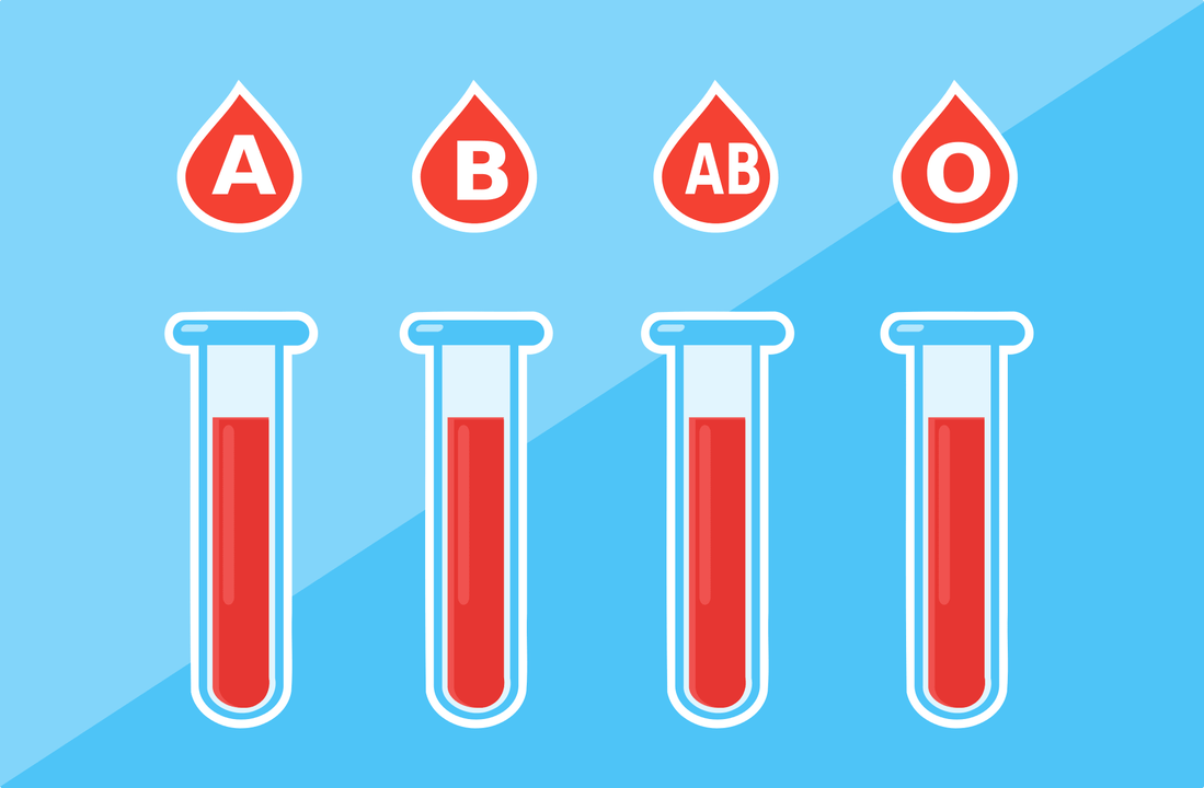 血型有A、B、AB、O 4种。